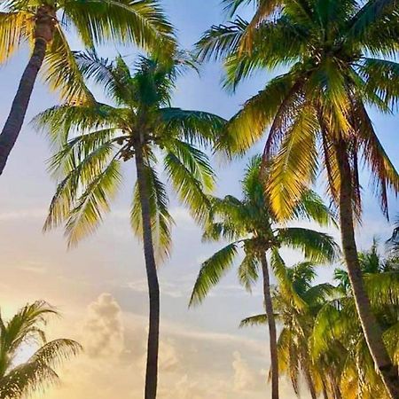 Vc Beach Suites 이슬라무헤레스 외부 사진